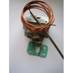 Thermostat - Natural Gas (f)